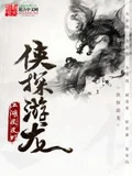 侠探游龙全本 作者：江湖皮皮虾