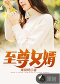 至尊女婿全本 作者：黄晓鸭