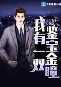 我有一双鉴宝金瞳全本 作者：三三五十一