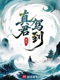 真君驾到全本 作者：阎ZK