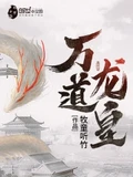 万道龙皇全本 作者：牧童听竹