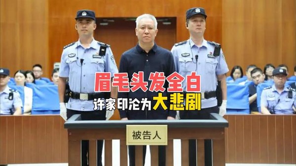从地产首富到白发囚徒:许家印的人生豪赌,为何最终输给了时代与自己 从地产首富到白发囚徒:许家印的人生豪赌,为何最终输给了时代与自己