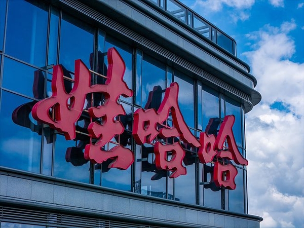 娃哈哈沦为被执行人：1.84 万元执行标的背后，是人事地震、商标内战与业绩失速的三重危机