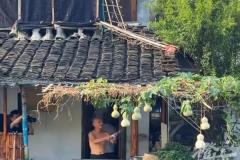 网红流量下的古城退潮：绍兴“葫芦娃爷爷”连夜摘除七葫芦，将安宁还给失独老人